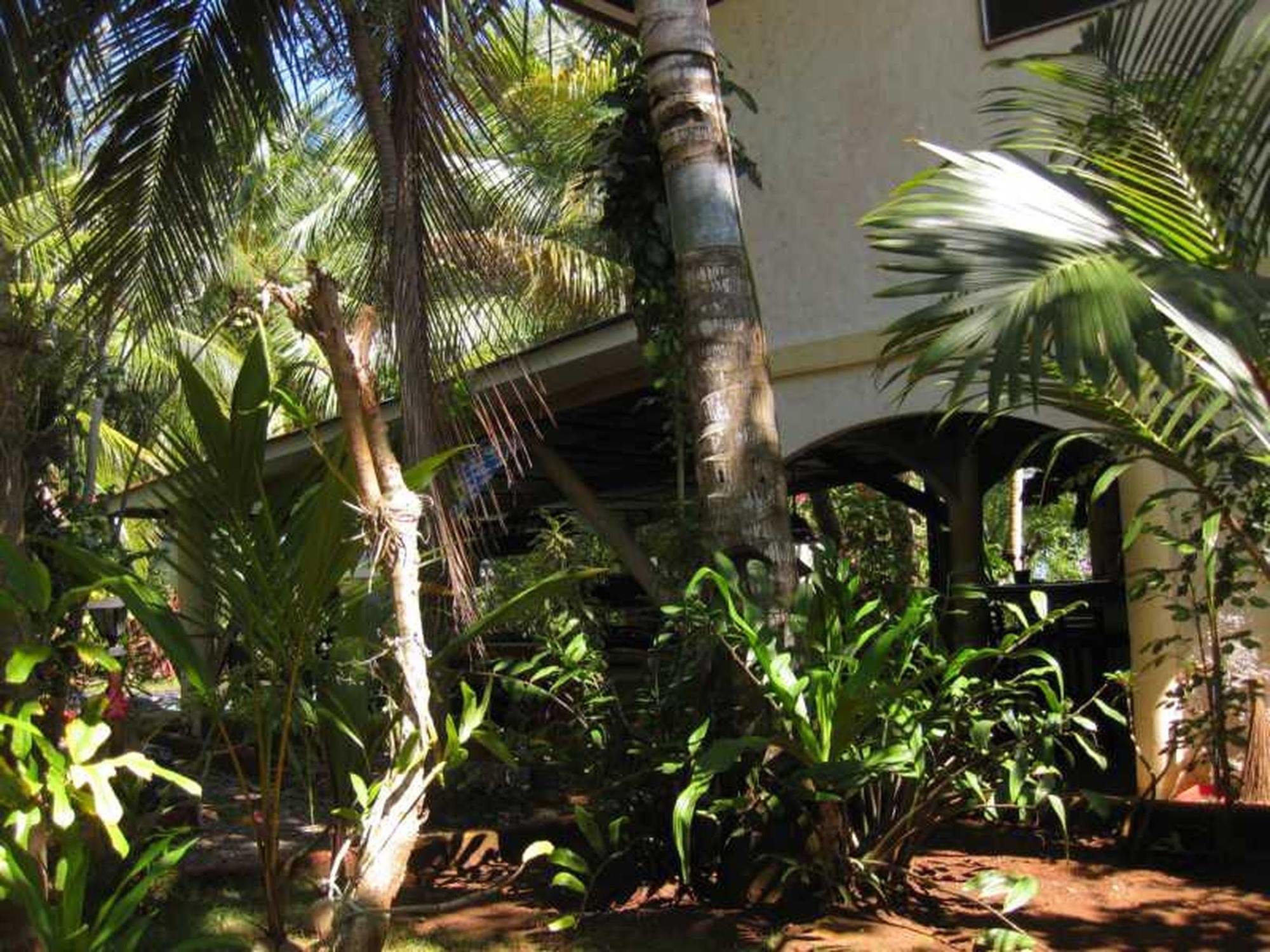 Calypso Resort Panglao Luaran gambar