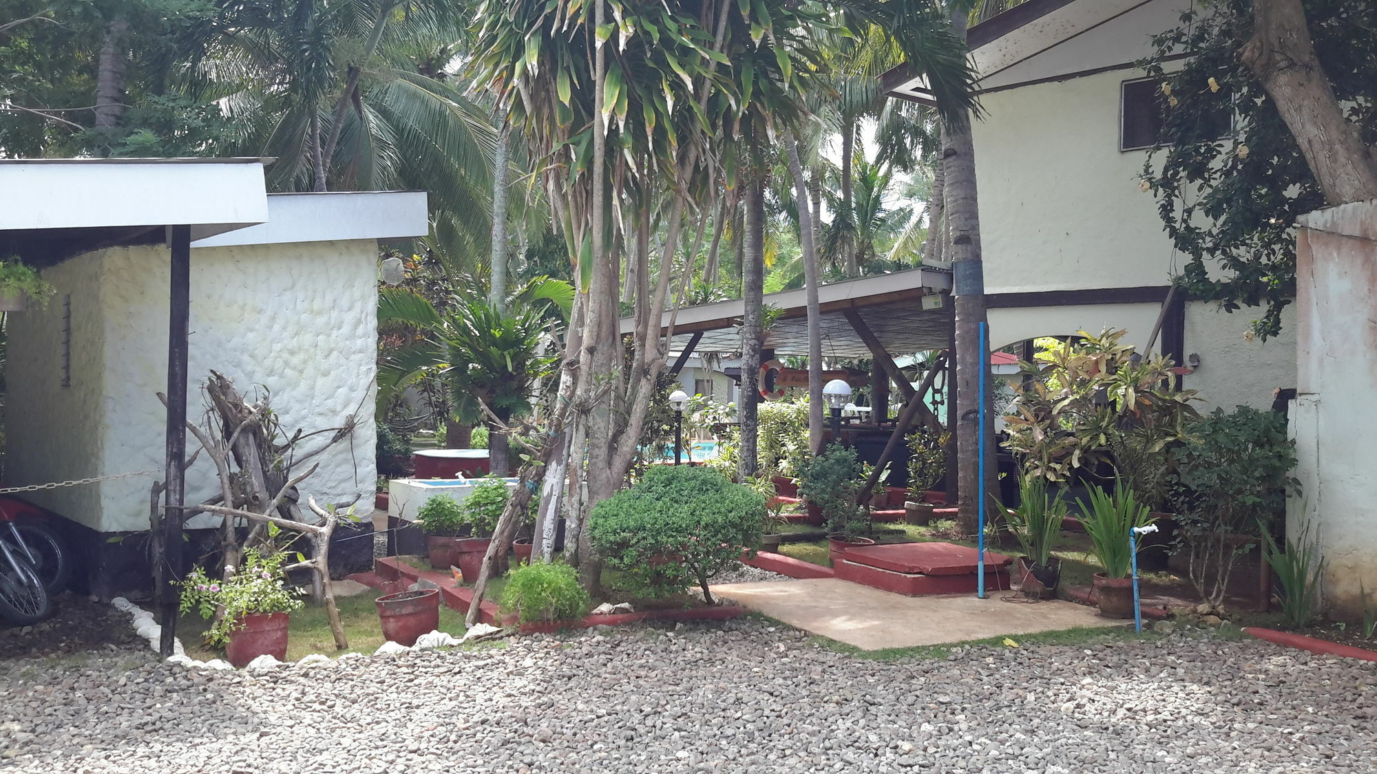 Calypso Resort Panglao Luaran gambar